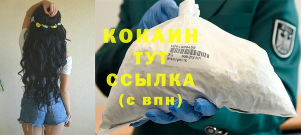 прущий лед Пересвет