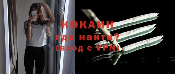 кокс Арсеньев