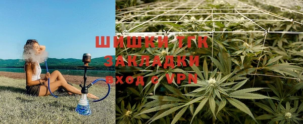 стафф Пестово