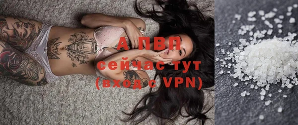 прущий лед Пересвет