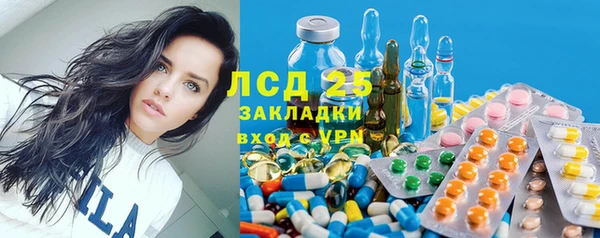 ГАЛЛЮЦИНОГЕННЫЕ ГРИБЫ Переславль-Залесский