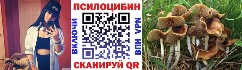 как найти закладки Сычёвка Галлюциногенные грибы GOLDEN TEACHER